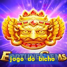 jogo do bicho banca ouro verde